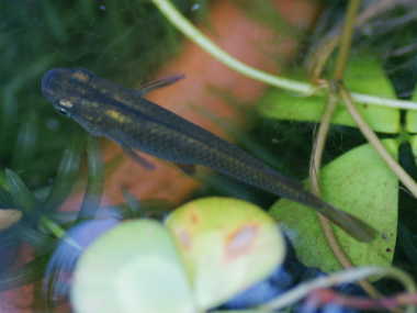 �N�����_�J