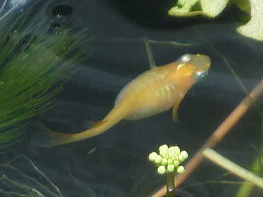 �_���}���_�J