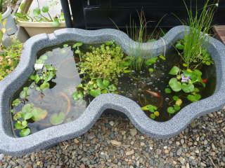 �r�I�g�[�v