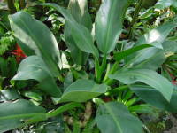 �z�e�C�J�Y��