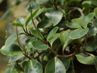 �y�y���~�A