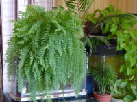 �l�t�����s�X