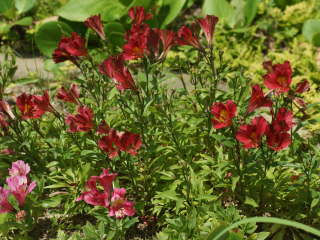 �Ԓd�̃A���X�g�������A