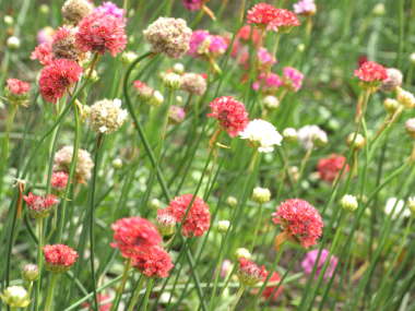 �A�������A�E�v�V���[�_�������A