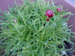 �A�������A�E�A�������A�̔�����