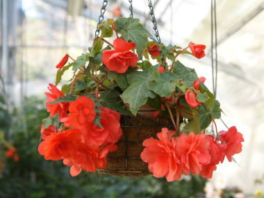 �����x�S�j�A