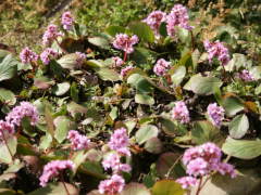 �q�}�������L�m�V�^