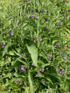 �q���n���\�E