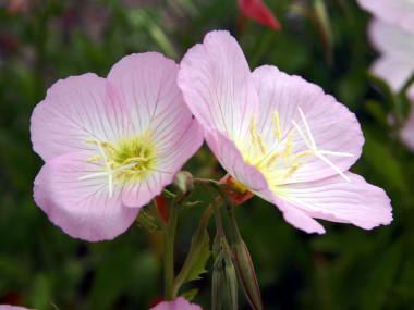 �q���U�L�c�L�~�\�E�i�s���N�j