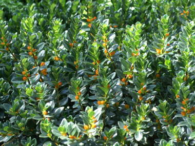 �q�|�V���^