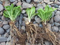 �������i�v�������E�|���A���T�j