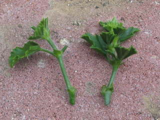 �}����i�y�����S�j�E���j