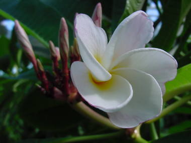 �v�������A�i���j