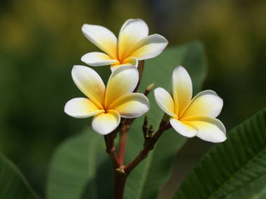 �v�������A�i���F�j