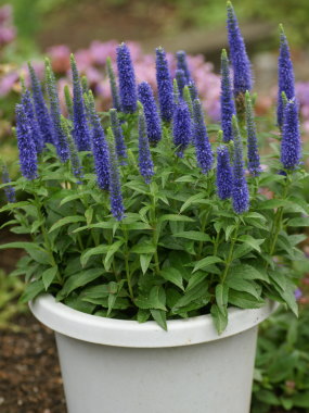 �x���j�J�i������j