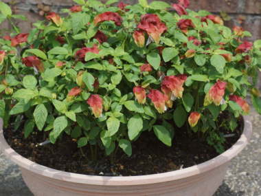 �R�G�r�\�E