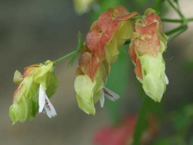 �R�G�r�\�E