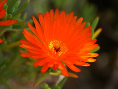 �}�c�o�M�N�i�����v�����T�X�j