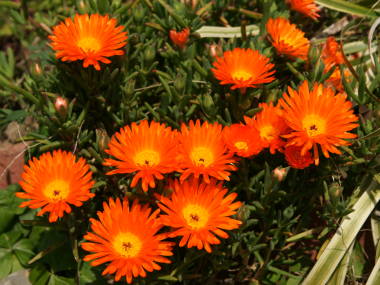 �}�c�o�M�N