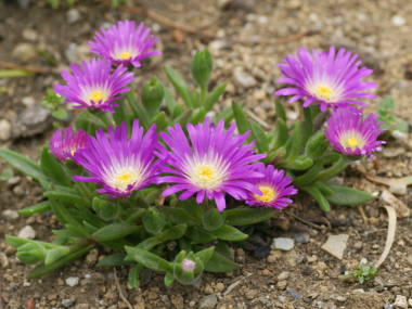 �}�c�o�M�N