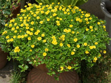 ���J���h�j�A