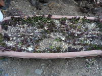 ���l�܂肵���v�����^�[�i�~���g�j