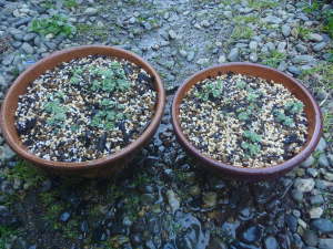 ��������i�~�Z�o���j