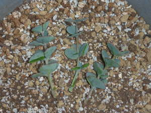 �}����i�~�Z�o���j