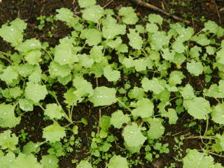 ����i�i�m�n�i�j