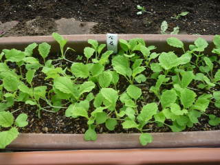 ����i�i�o�i�j