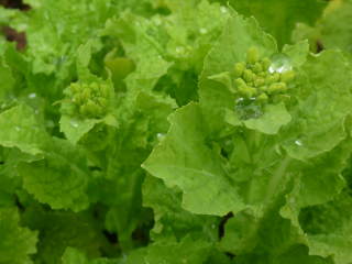 �Q�i�i�o�i�j