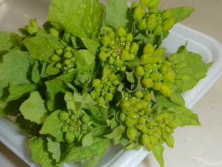 ���n�i�i�o�i�j