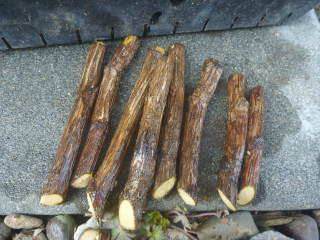 �}����i�i���e���j