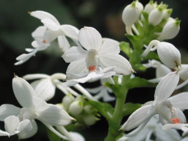 �č炫�G�r�l�̉�