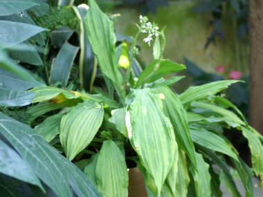 �č炫�G�r�l�̗t