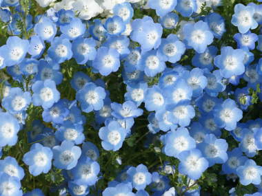 �l���t�B��