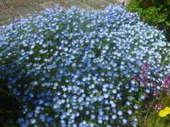 �l���t�B��