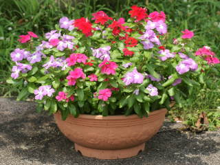 �j�`�j�`�\�E�̔��A��