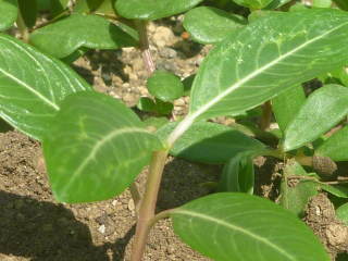 �E�S��i�j�`�j�`�\�E�j