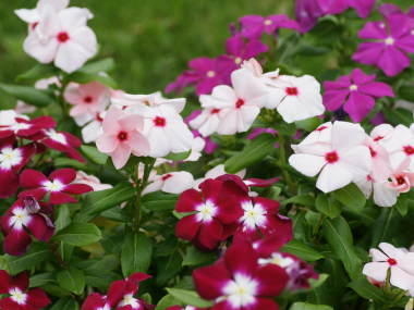 �j�`�j�`�\�E