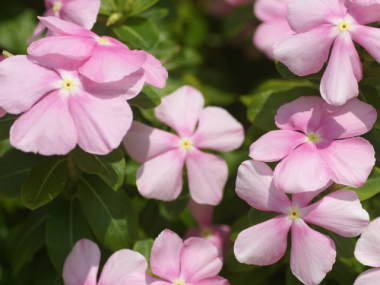 �j�`�j�`�\�E