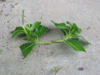 �}����i�j�`�j�`�\�E�j