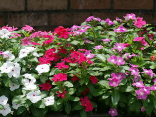 �j�`�j�`�\�E