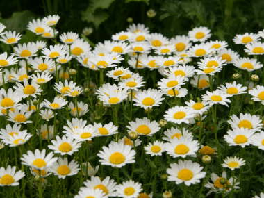 �m�[�X�|�[��