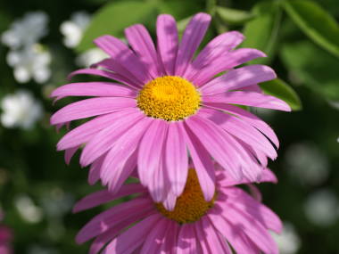 �W���`���E�M�N�i���ԁj