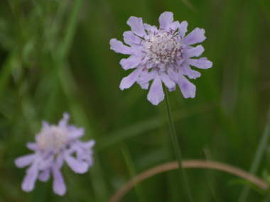 �}�c���V�\�E