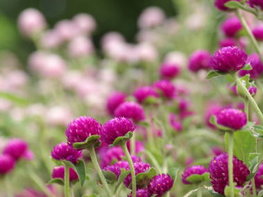 �Z���j�`�R�E