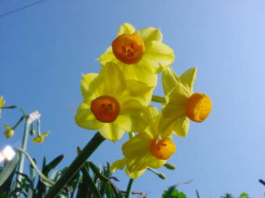 ���[����