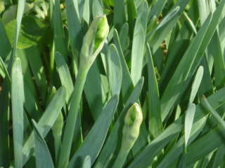 �[�炫������Q