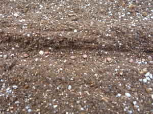 �����܂�